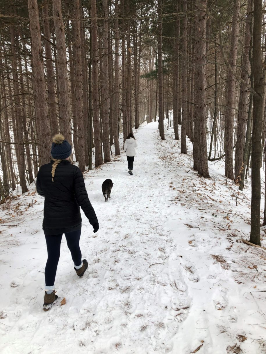 Two women hiking in the snow with a dog
