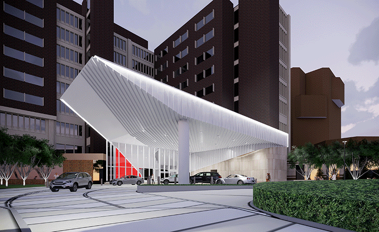 Parametric view of the canopy