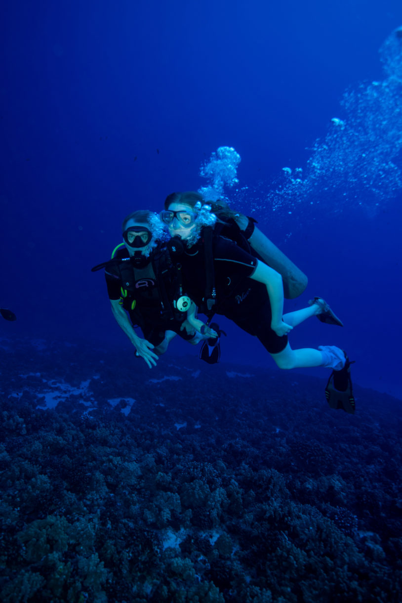 Two people scuba diving in ocean