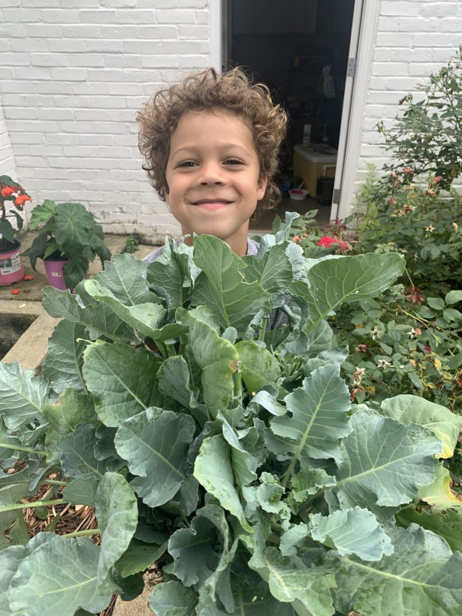 boy with lettuce