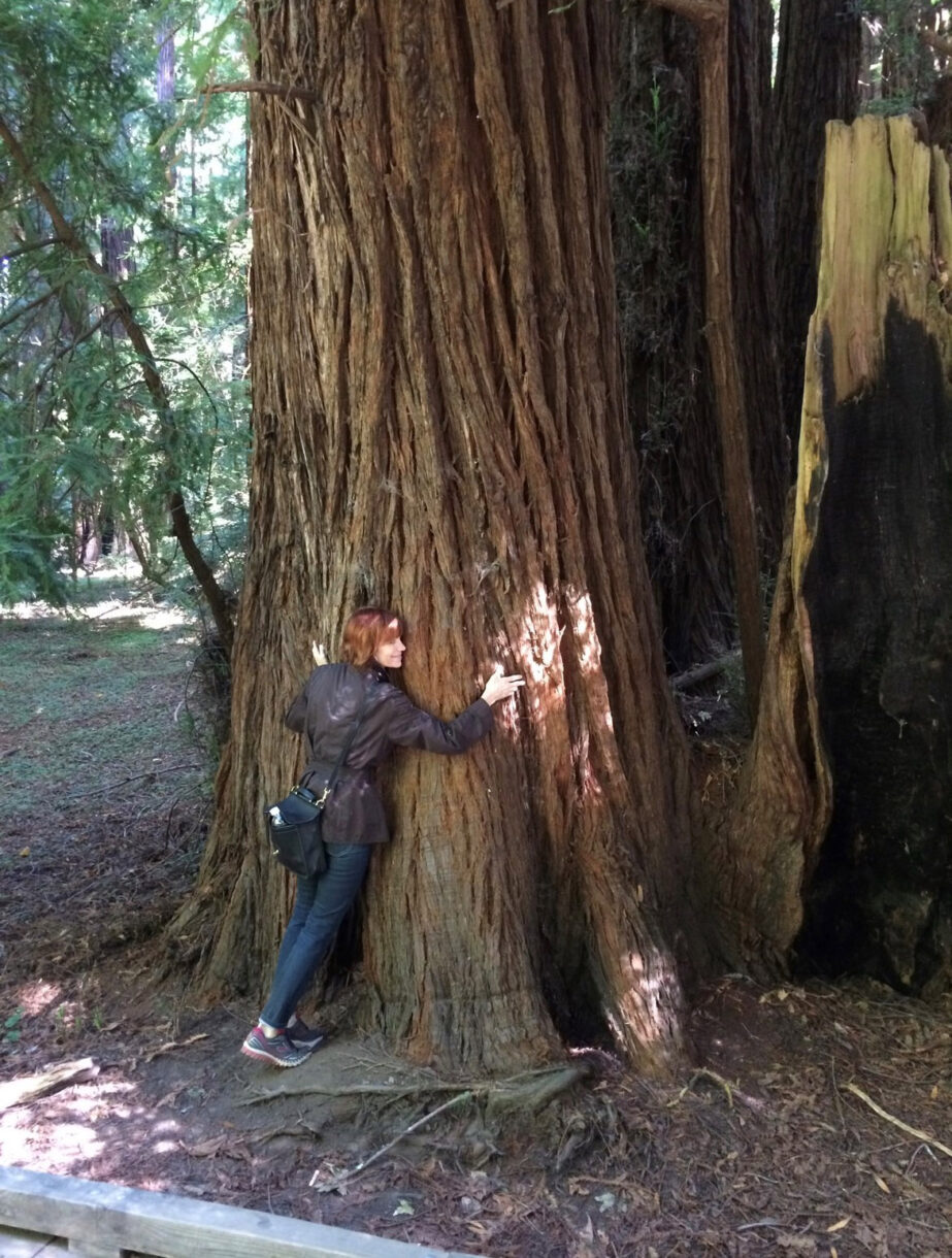 woman hugging a tree