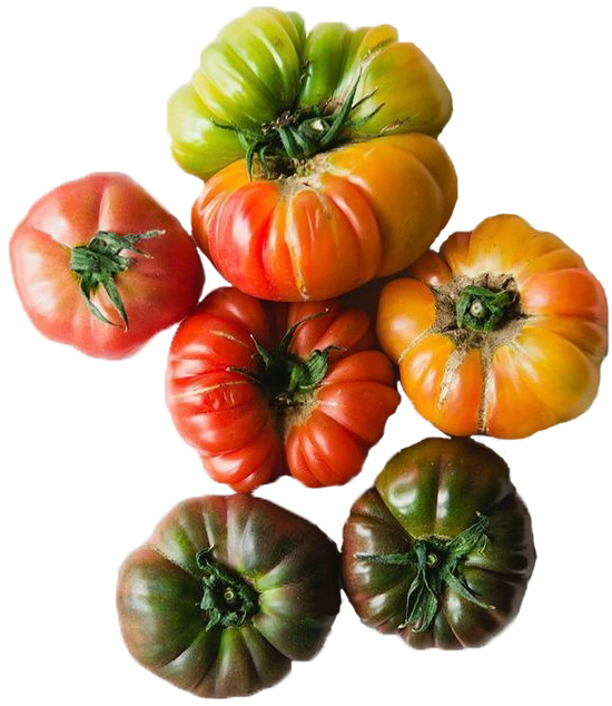 grouping of tomatoes